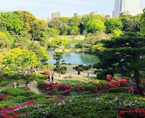 ＼おにわさん更新情報／ [ 東京都文京区 ] 六義園 Rikugien Garden, Bunkyo-ku, Tokyo の写真・記事を更新しました。 ――江戸幕府５代将軍・徳川綱吉の側用人だった #