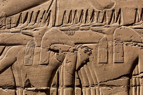 Bas-relief depicting the Souls of Nekhen, detail. Karnak Temple Complex