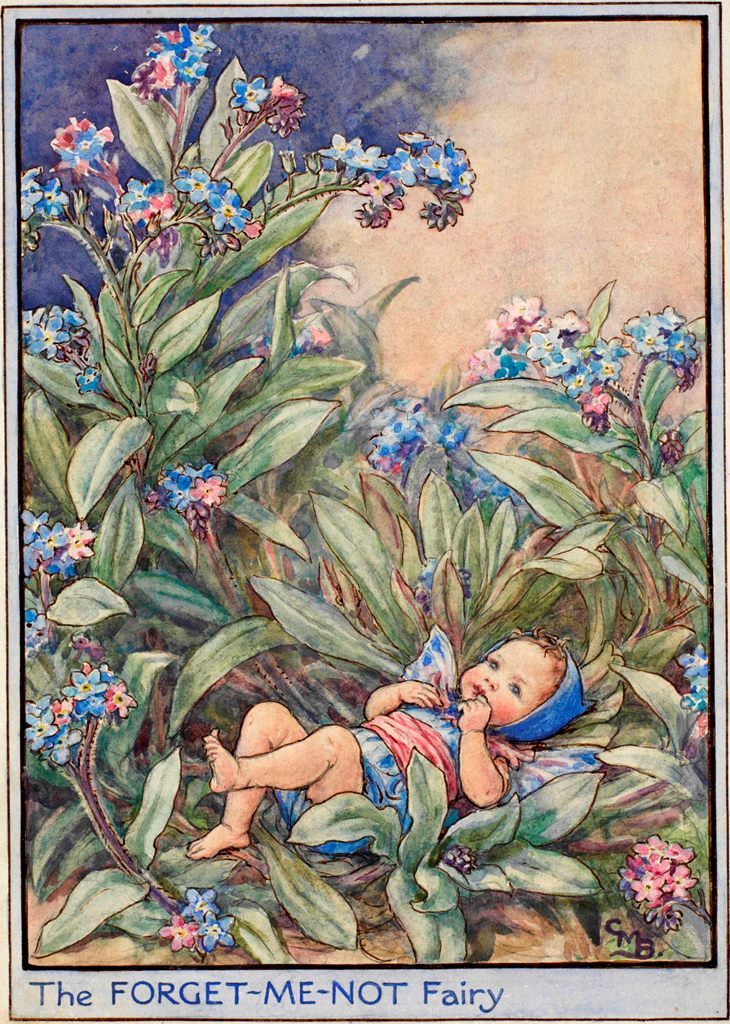 art-from-me-to-you:Cicely Mary Barker, Fairies of the Garden
