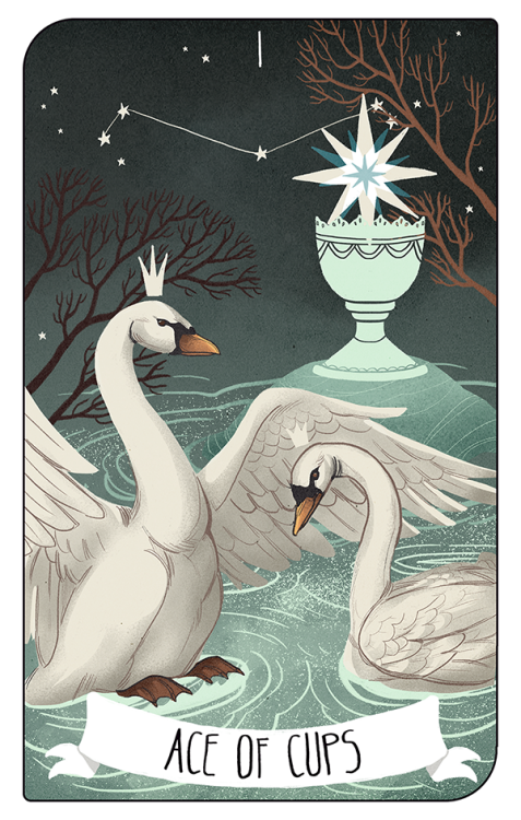 my new project “Forgotten legends tarot”.ACE OF CUPS…and more things in my instagram! 