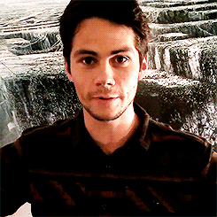 hobrien:  I know you’re saying something but your scruff is distracting me 