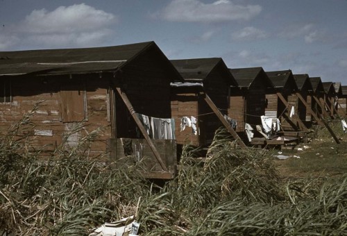 BelleGlade (Florida, 1941):Condemnedhousing for migrant sharecroppers.Migrantchildren outside a juke