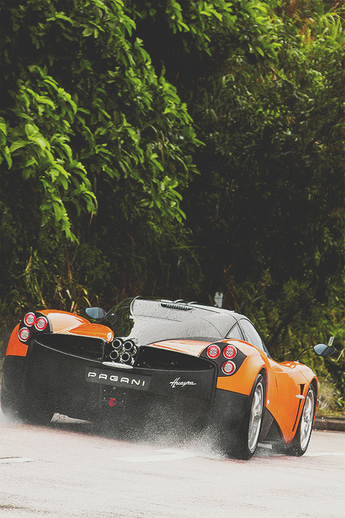 thelavishlife:  Source The Lavish Life