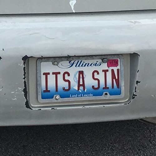 80slesbian: license plate moodboard