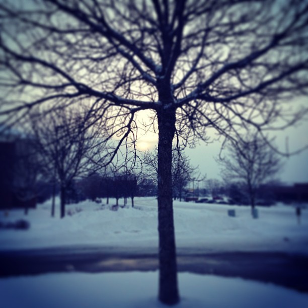 mdrobinson:  Getting artsy on the way in to work….