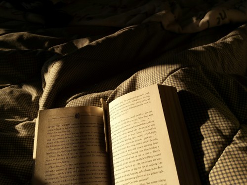 Sun shines through window. Book bathes in warmth. Picture must be taken.