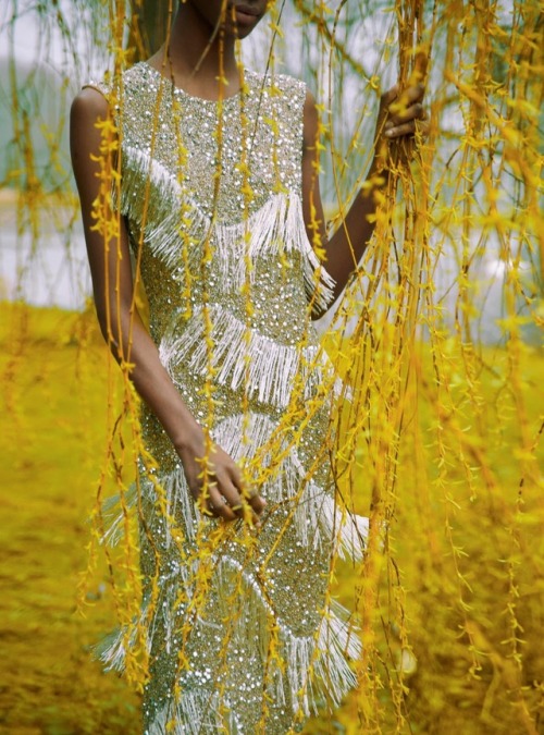 midnight-charm: Tami Williams photographed by Erik Madigan Heck for Harper’s Bazaar UK June 20