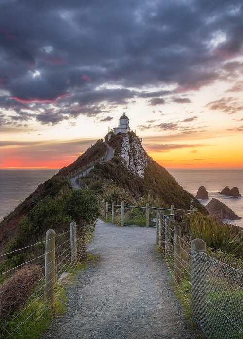 Porn Pics coiour-my-world:  Nugget Point Lighthouse |