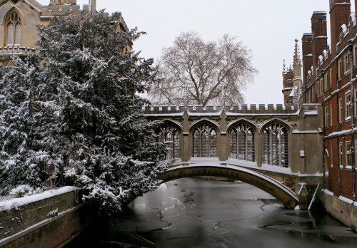 pagewoman:The Bridge of Sighs, St John’s College, Cambridge, England by El