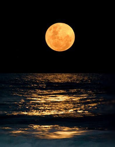 omg-sweetunlikelycollector-me:  brookbooh:  Full moon  @possit-de-tenebris 