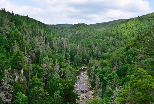 Linville Falls Overlook Trails in Linville Falls, NC