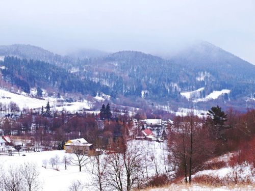 Winter, White, Nature, Trees, Forest, EyeEm Best Shots, Mountains, Taking Photos, Snow, Walking Arou