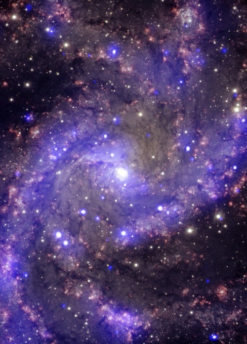thedemon-hauntedworld:NGC 6946 The Fireworks Galaxy NGC 6946 is a medium-sized, face-on spiral galax