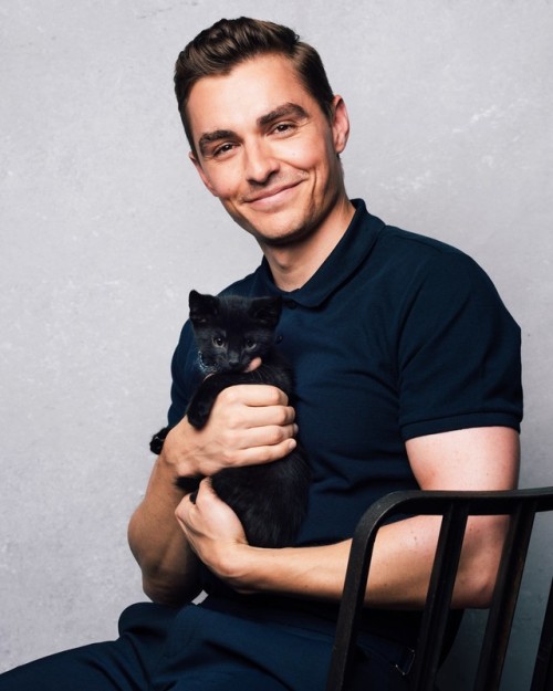 davefrancoequalslife:Dave Franco Gets Interviewed While Playing With Kittens And It’s Cute AF [x]