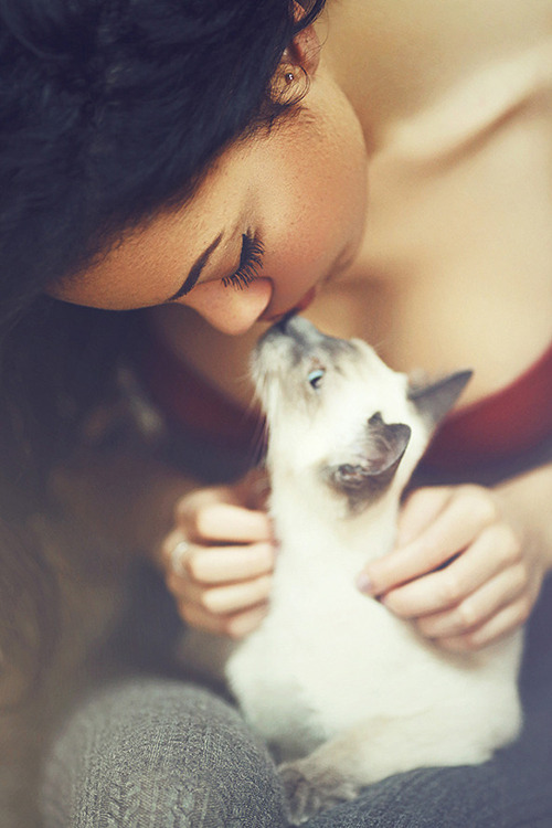visualechoess:  friends - by: Jay Kreens II