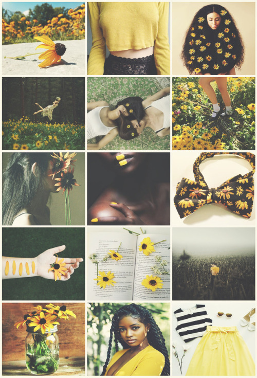 aestheticschaos:Black Eyed Susan Fairy aestheticrequested by @art-rest-tea