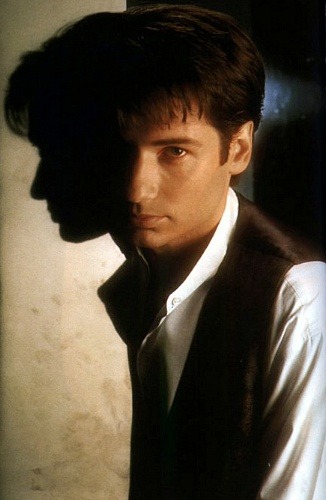 txdude68:  David Duchovny