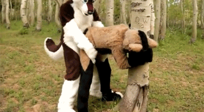 swifthusky:  thesithfuhrer:  fuckyeahmurrsuiting:      Huskies In The Woods  Oh thank