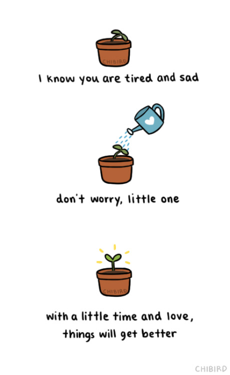 chibird:A little sun and water and rest, and things will brighten up. (◡‿◡✿) It is not easy growing 