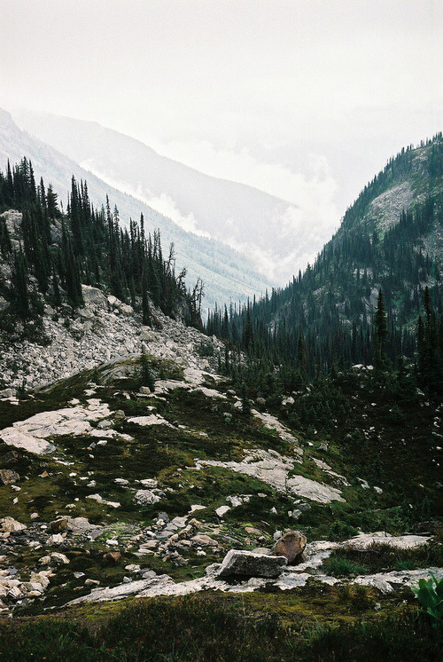  nature &amp; vintage blog 
