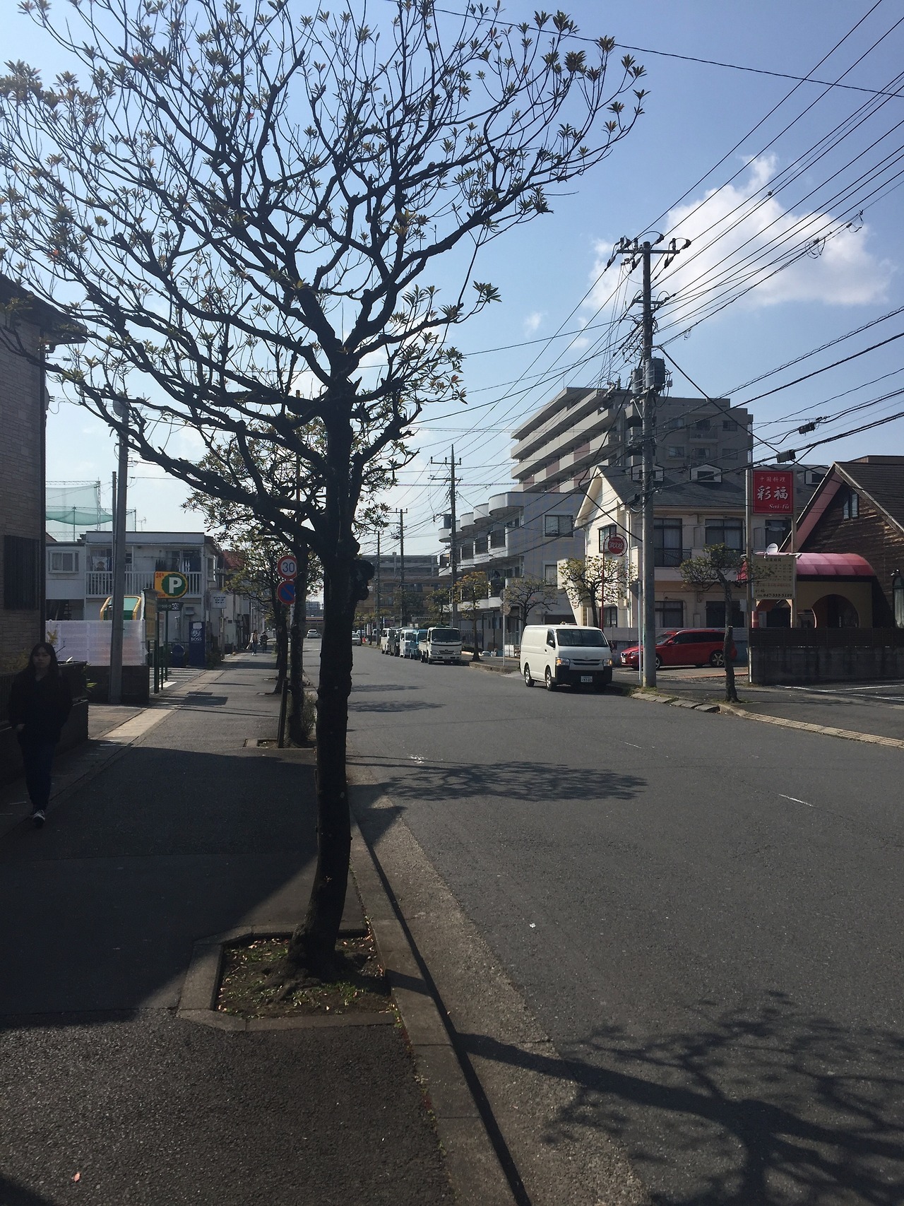 tokyomicma:  cherry blossoms + a taste of my commute home