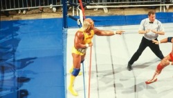 80's Wrestling Pics