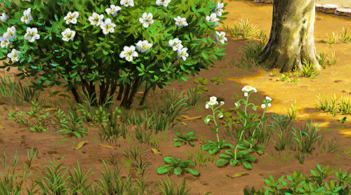 STUDIO GHIBLI + Flowers