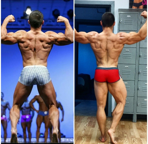 Flex It