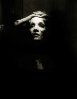 inspirationgallery:  Marlene Dietrich 