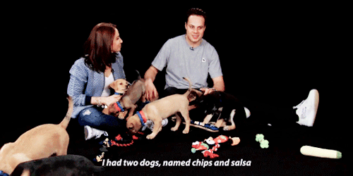 werenski: auston gets surprised with puppies!