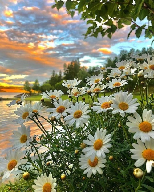 Find Beauty In The Small Things.