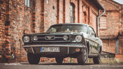 ford-mustang-generation:   	Ford Mustang 1966 by Lukasz Z.    