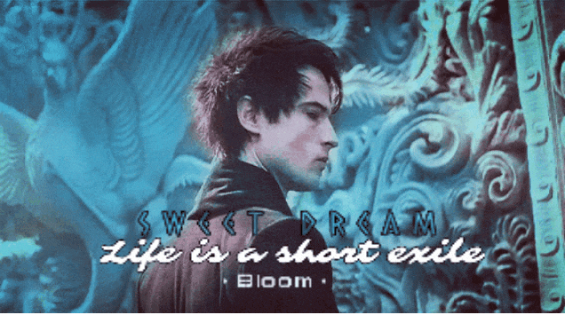 mabloom - @Bloom