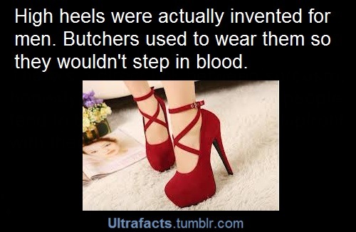nerdy-ginger-rules-the-world:  ultrafacts:  Source See more facts Here  Women wear