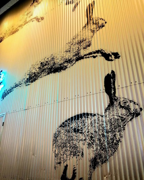 Bunnies! . . . . . . . #bunnies #bunny #wallart #wallmural #muralart #mural #lasvegas #vegas #vegasm
