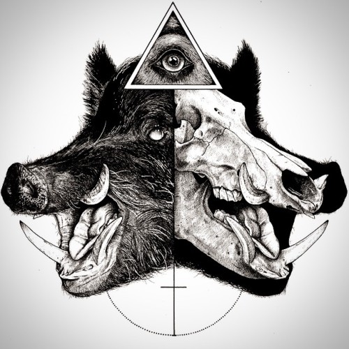werewolfboar:Animal skull drawings paul jackson 11
