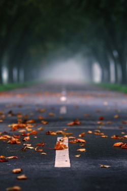 cre8ti0n:  Autumn Melancholy | by Andreas Steegmann.          