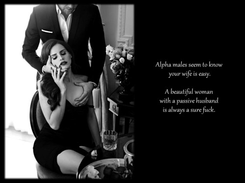 From An Apparently Gone Blog With Good Cuckolding Captions 
