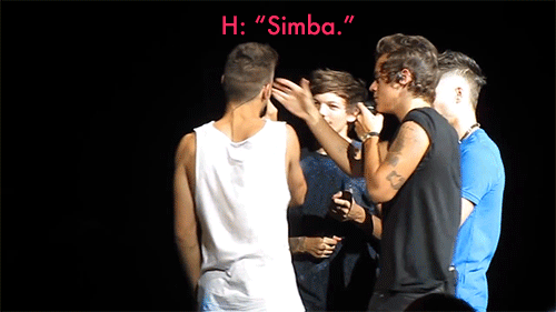 heartbreakmadness1d:  liams-paynis:  HARRY BEING A DIRTY LITTLE FUCKER  HARRY STILL