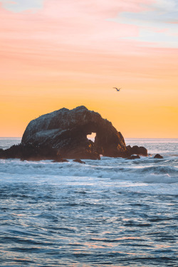 vietqhua:  Sutro Baths, San Francisco instagram: