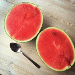 cardio-inspired:  fruitaliciousbaby:  annesofiesdreams:  Breakfast 👅🍉 #eatplants #hclfvegan #gofruityourself  💞🌴  ☀ 