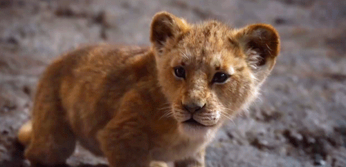 spartanlocke:  homicidalfelidae:  agentsokka: #that feeling when 2005 CGI Aslan emotes more than 201
