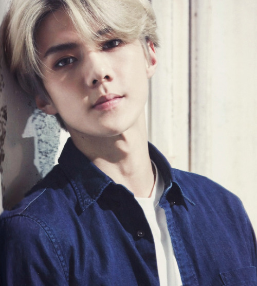 absolutehun:Sehun - Love Me Right ~ romantic universe ~