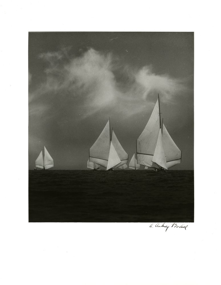 thisobscuredesireforbeauty:   A. Aubrey Bodine. Wing and Wing, 1934.Source