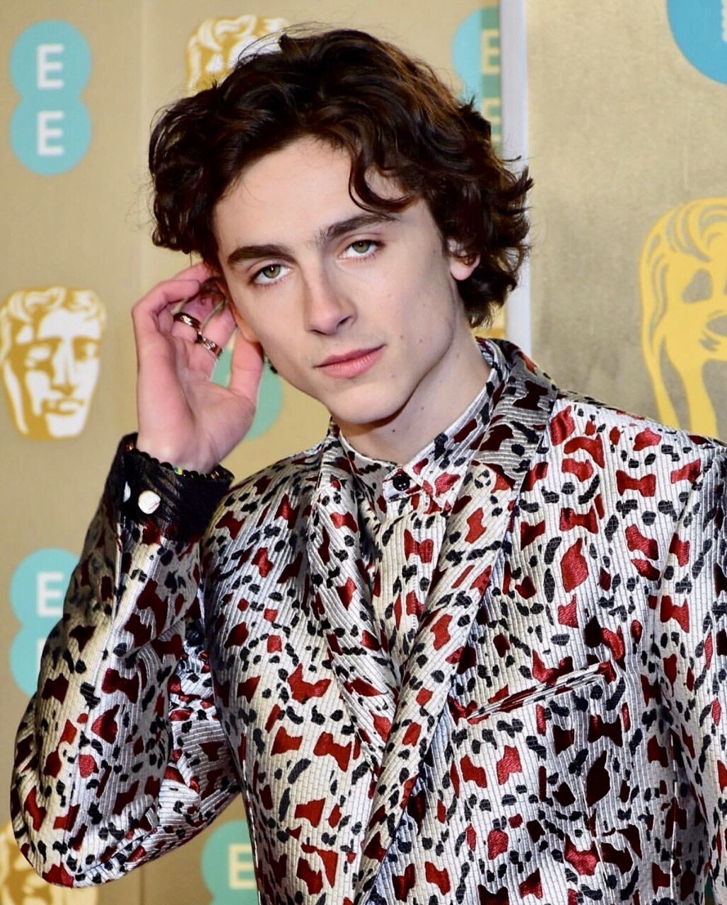 timothee chalamet hair