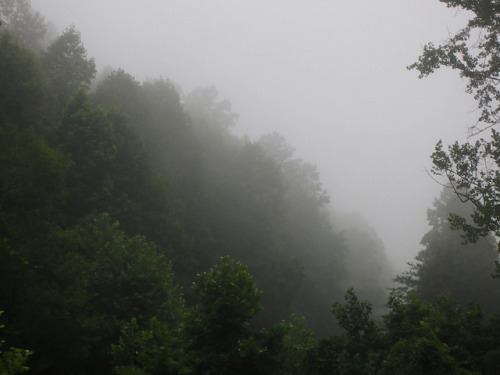 Looking Into The Mist by Kentucky Mountain Man on Flickr.