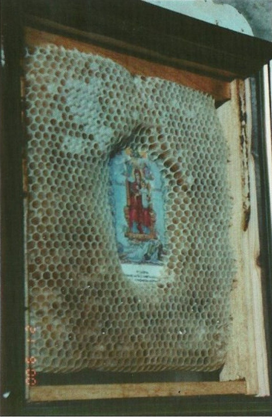 kevindrakewriter:  nivrir: by-grace-of-god:  The mystery of icon-preserving bees
