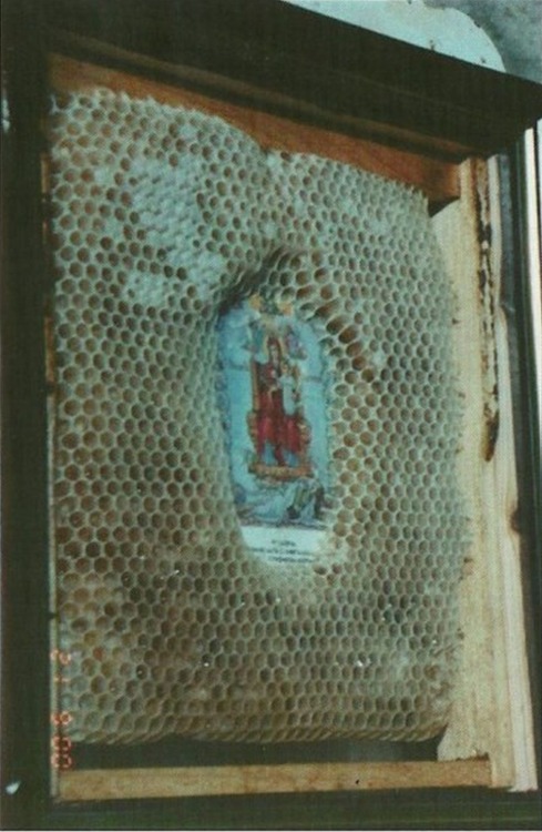 nivrir:by-grace-of-god:The mystery of icon-preserving beesFor a decade, a beekeeper near Athens, has
