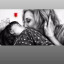 carolshipper