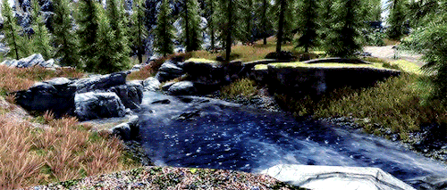 buttcanine:Skyrim - 1/?